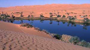 stliche Sahara, Libyen: Groe Expedition - Palmenbestandenes Flussufer zwischen Sanddnen